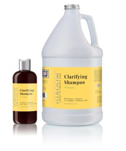 iGroom Clarifying Shampoo Pineapple