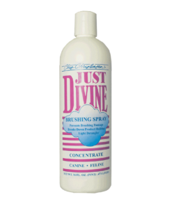 CHRIS CHRISTENSEN JUST DIVINE