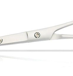 KENCHII Show Gear Curved